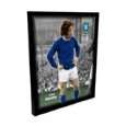   Harvey Everton Retro Box Canvas   Unsigned by A1 Sporting Memorabilia